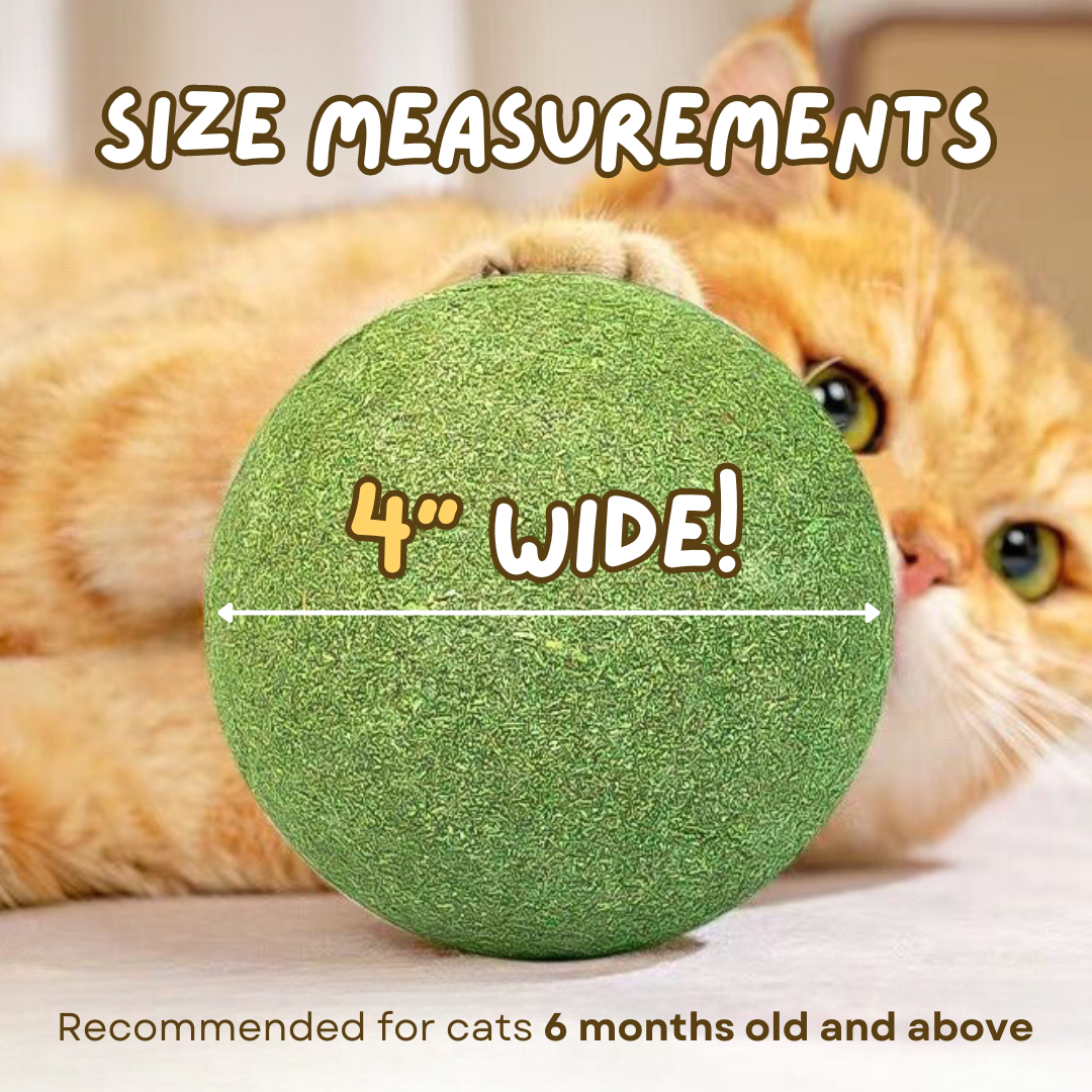 Jumbo Catnip Ball