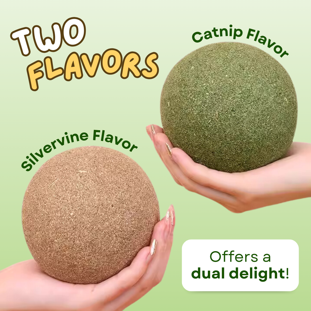 Jumbo Catnip Ball